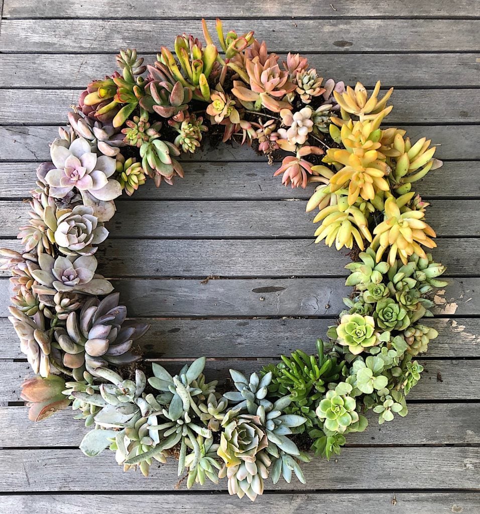 MY 100 YEAR OLD HOME How to Make a Succulent Wreath Crafts